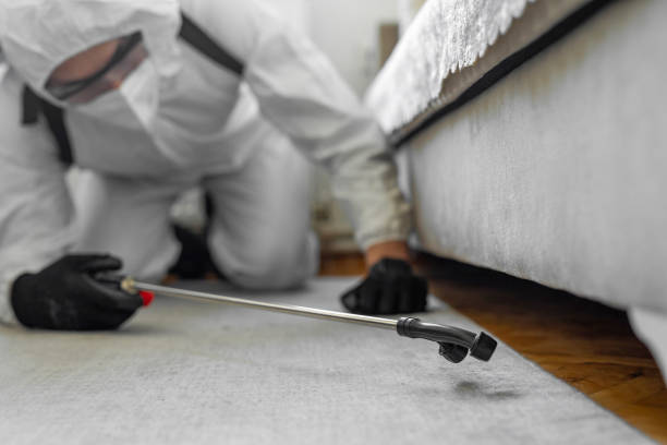 Professional Termite Control technician working in Central, TN