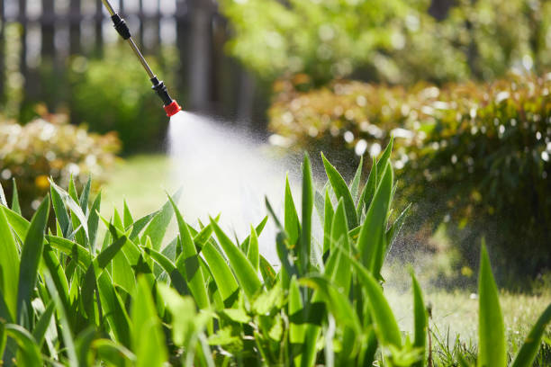24/7 Emergency Termite Control experts in Central, TN